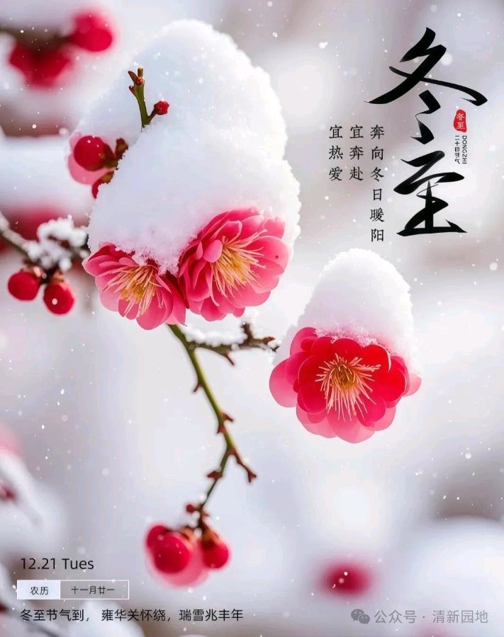 石家庄市藁城区诗词协会第六十六期同题诗《冬至》（图5）