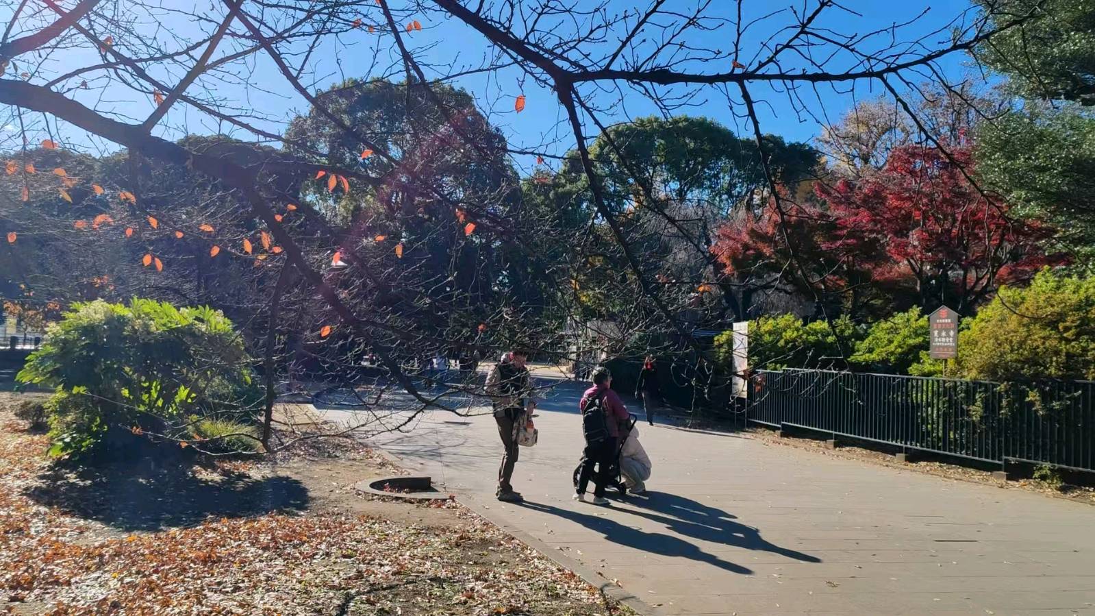 《游日留忆》文/安曼（图10）