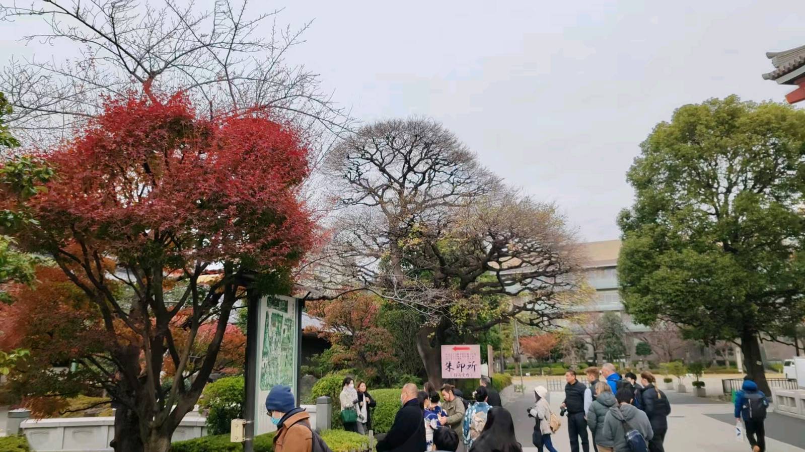 《游日留忆》文/安曼（图9）