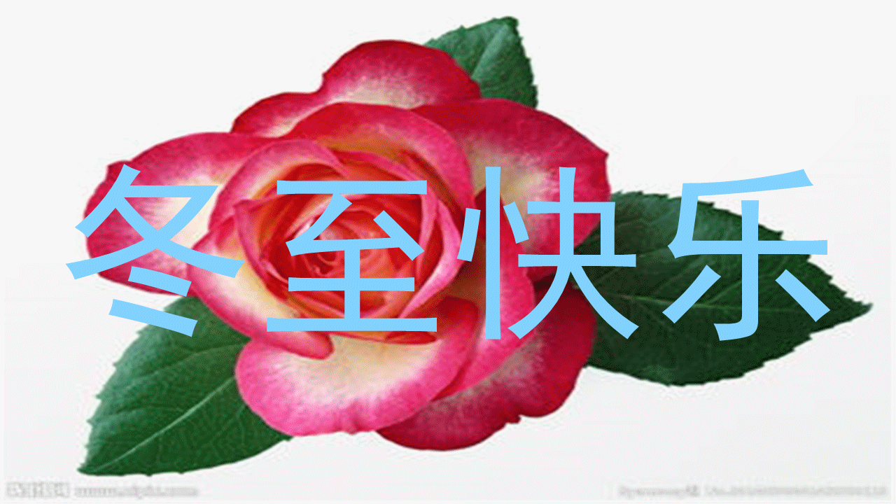 胡京老师领队打卡2024年11月22日冬至参加北京依玛铂金EOS俱乐部年度盛典现场留影与您共享！（七）（图98）