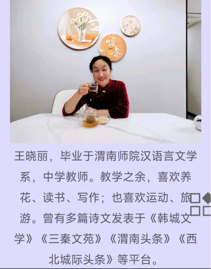 陕西晓丽《乡韵》（图2）