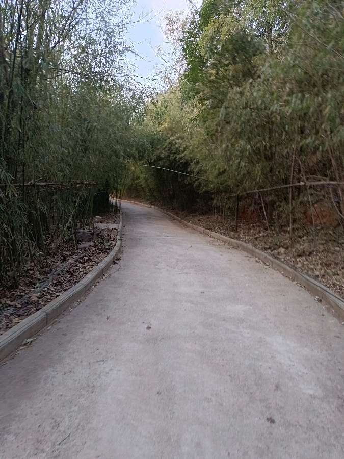 凛冬倒盏村游客多在滑雪场 原作/梁立锋（图9）