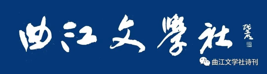 凤林王氏始祖邠国公王彦超诞辰 1110 周年纪念大会纪实