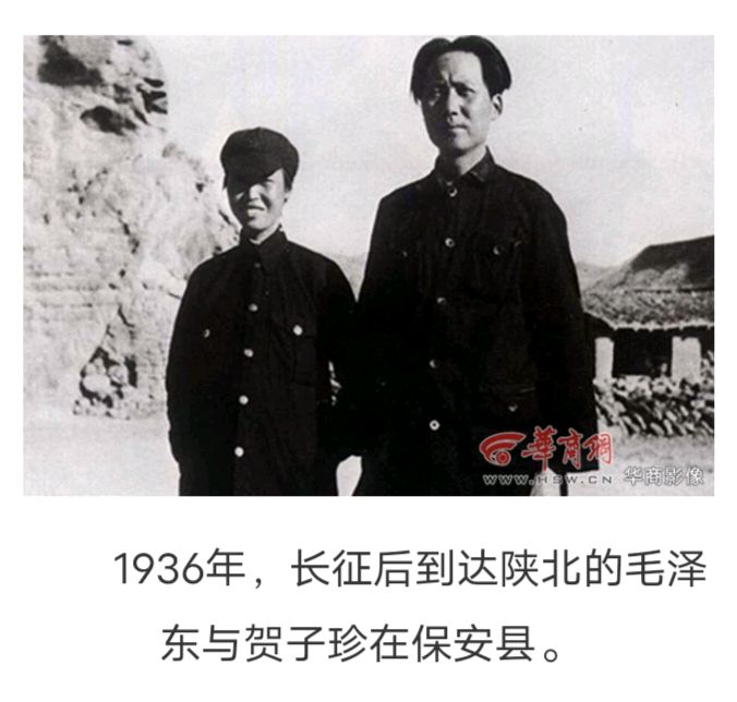 纪念毛主席诞辰 131 周年之六·毛主席和他的亲人们（图5）