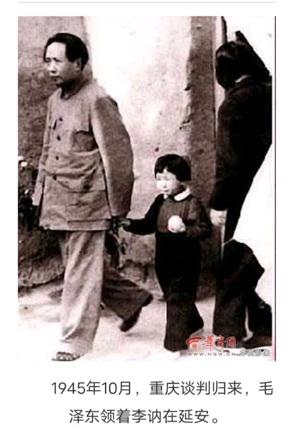 纪念毛主席诞辰 131 周年之六·毛主席和他的亲人们（图11）
