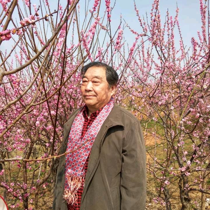 【文史论坛】嵩嵩//读书览史话卫青（图7）