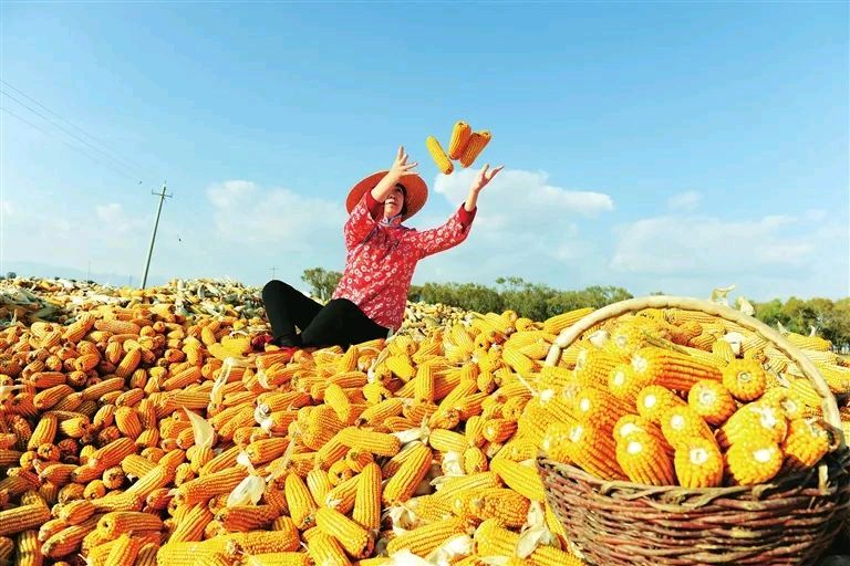 刘连芳【正宫•双鴛鴦】丰收年（图3）