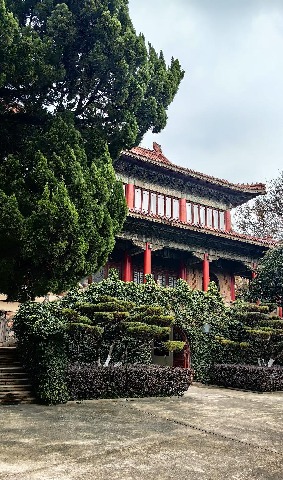 红梅诗歌文化传媒||《登国府楼》||作者：高增 朗诵：莲池映月（图4）