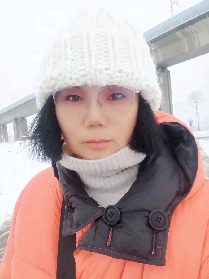 现代诗歌《意象》