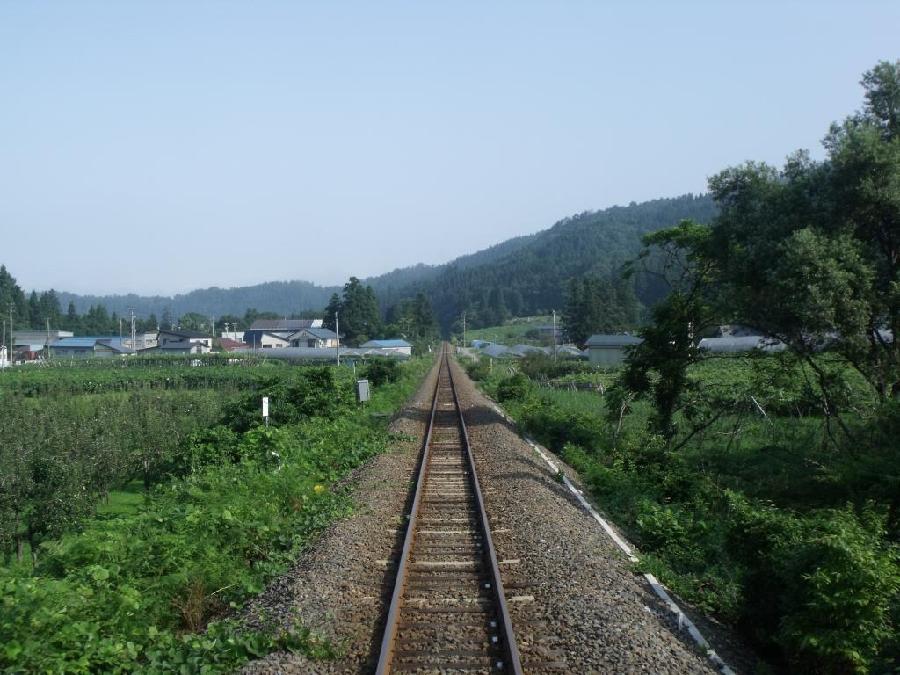 杨拓夫：《火车夜过山村》海外头条（图5）