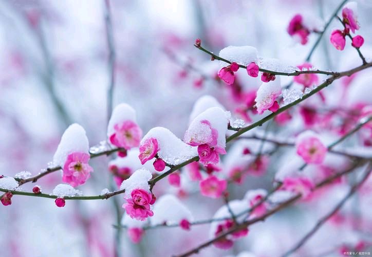 红色文化诗歌专辑034期(图52)