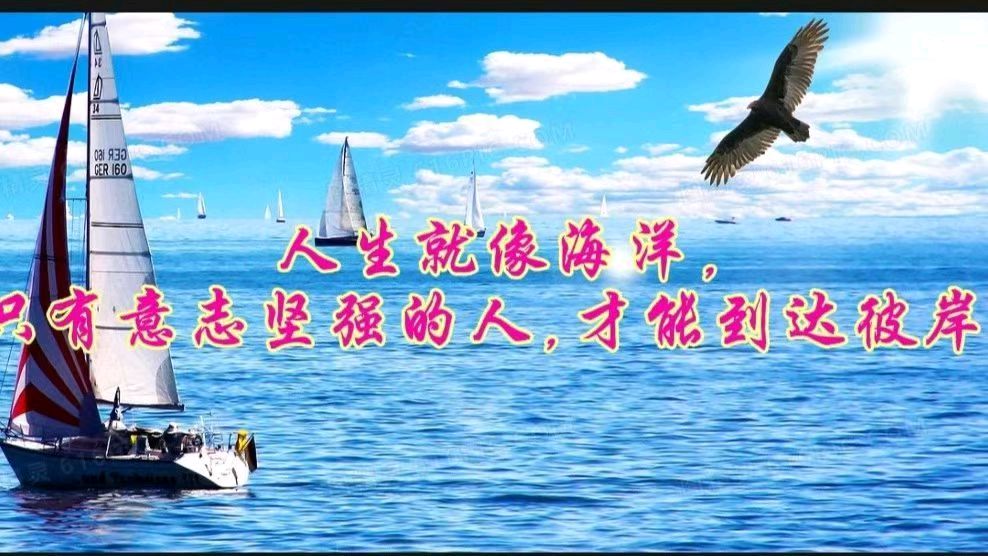🎉🎉🎉热烈祝贺《广东省写作学会许峰诗歌研究院》正式挂牌成立【总第345期】（图13）