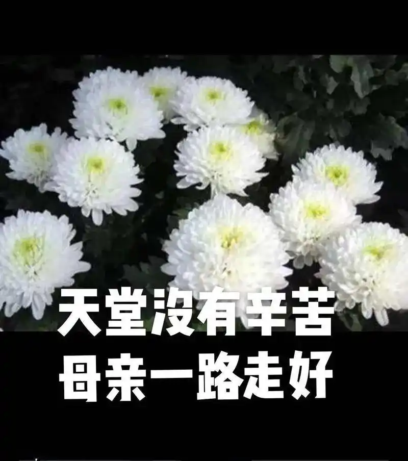 陕西张志民《十七年的思念》（图17）