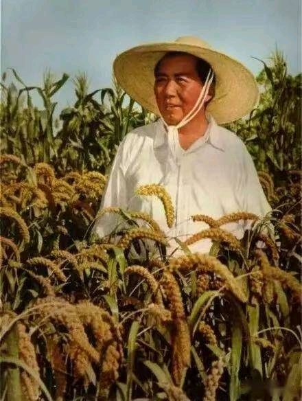 七律-颂歌献给毛主席（三首）诗||雅轩琴韵（图22）