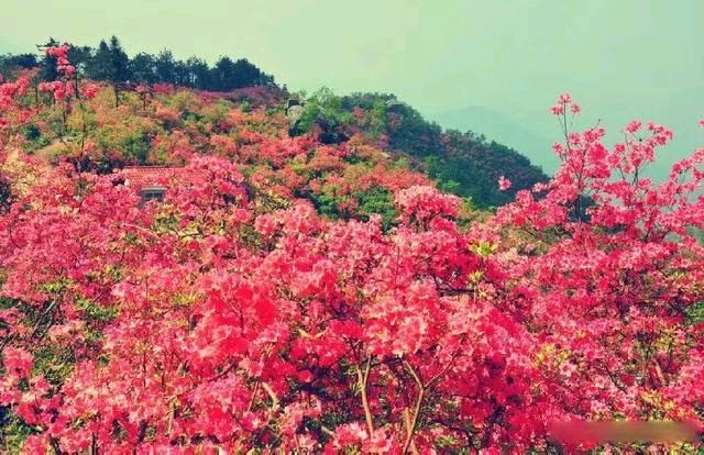 🎉🎉🎉热烈祝贺《广东省写作学会许峰诗歌研究院》正式挂牌成立【总第345期】（图18）