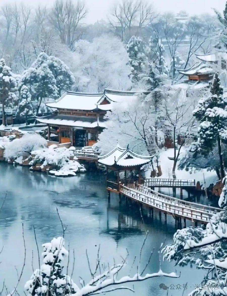 神龟子：《那夜的雪》海外头条（图5）
