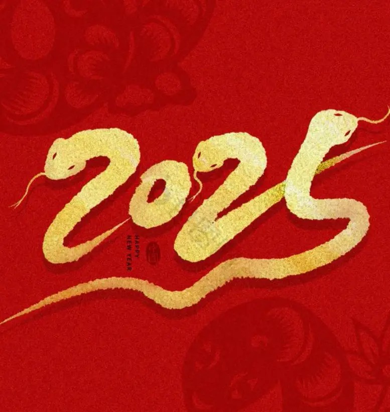 高秀军：菊花朗诵《祝福2025》（外二首）海外头条（图5）