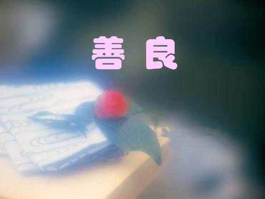 高秀军：菊花朗诵《祝福2025》（外二首）海外头条（图7）