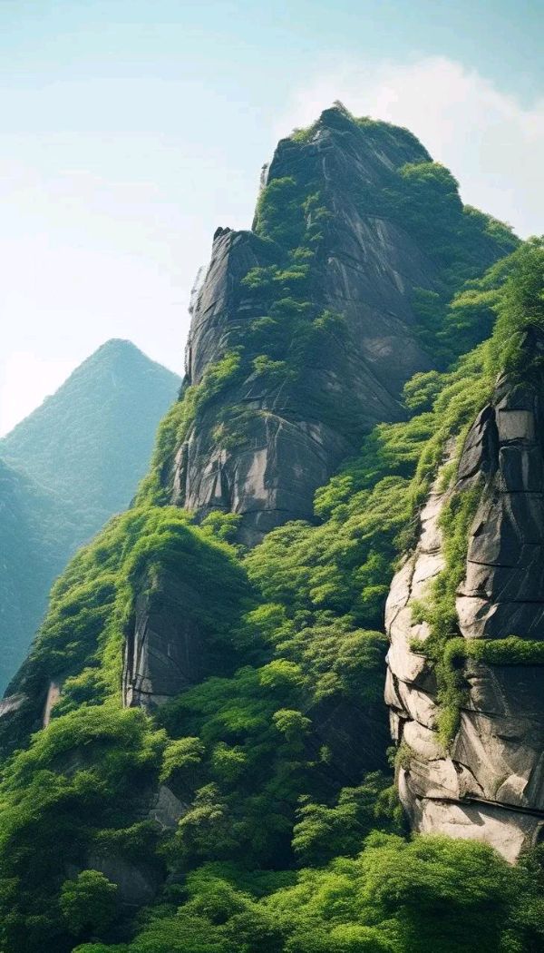 王金政的《山》