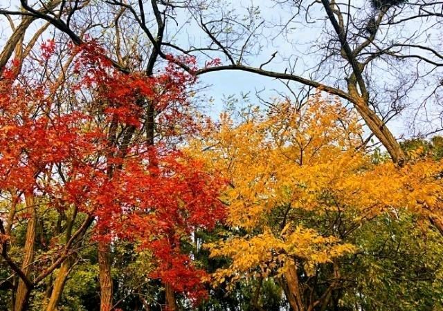 [北京头条]江苏盱眙县诗人刘文亚老师的精选专辑（第120期）（图4）