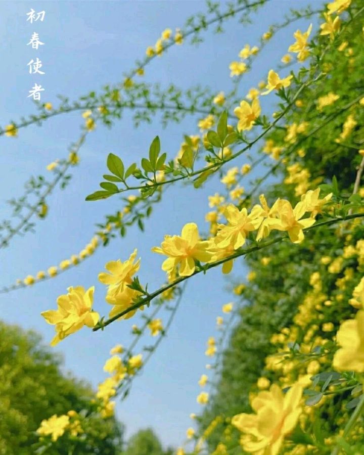 【5619】毕桂凤作品二则（图4）