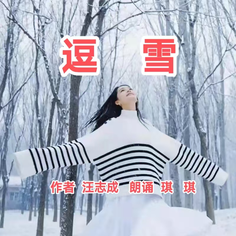 汪志成：《逗雪》朗诵：琪琪~海外头条（图5）
