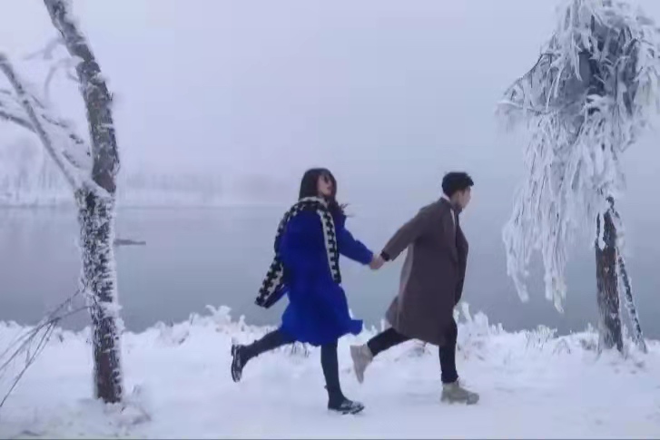 汪志成：《逗雪》朗诵：琪琪~海外头条（图8）