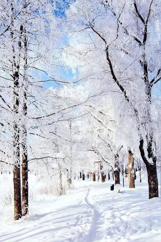 七律·白雪吟咏（文/韩满林）……莲叶之珠文学社（图4）
