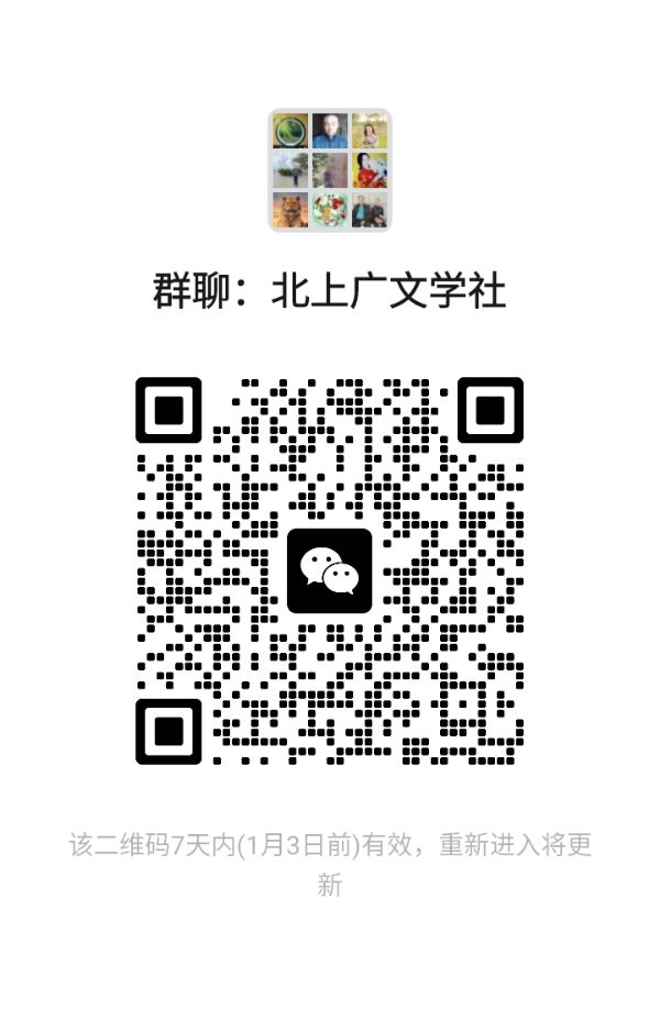 【仿古体歌诗·新年新希望】文/江帆（图17）