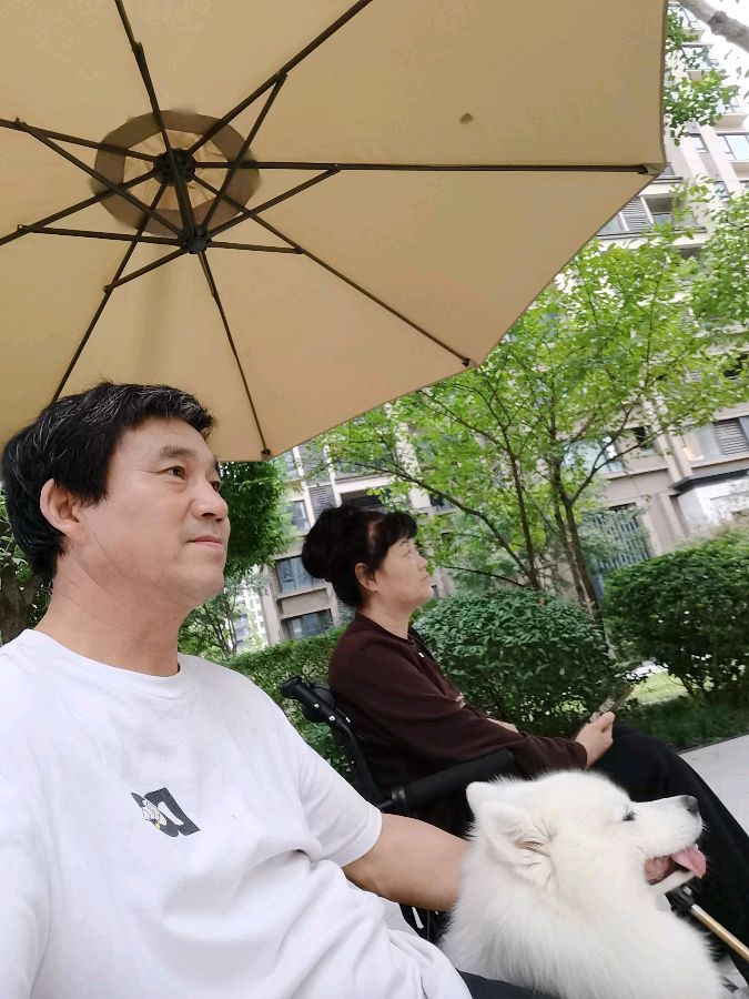 陕西张志民山城暖忆:《我的重庆之行》(图63)