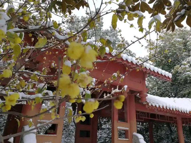 《七律 岁杪感怀》作者:马守华【桃源国际诗歌文化传媒】古韵作品集（图7）