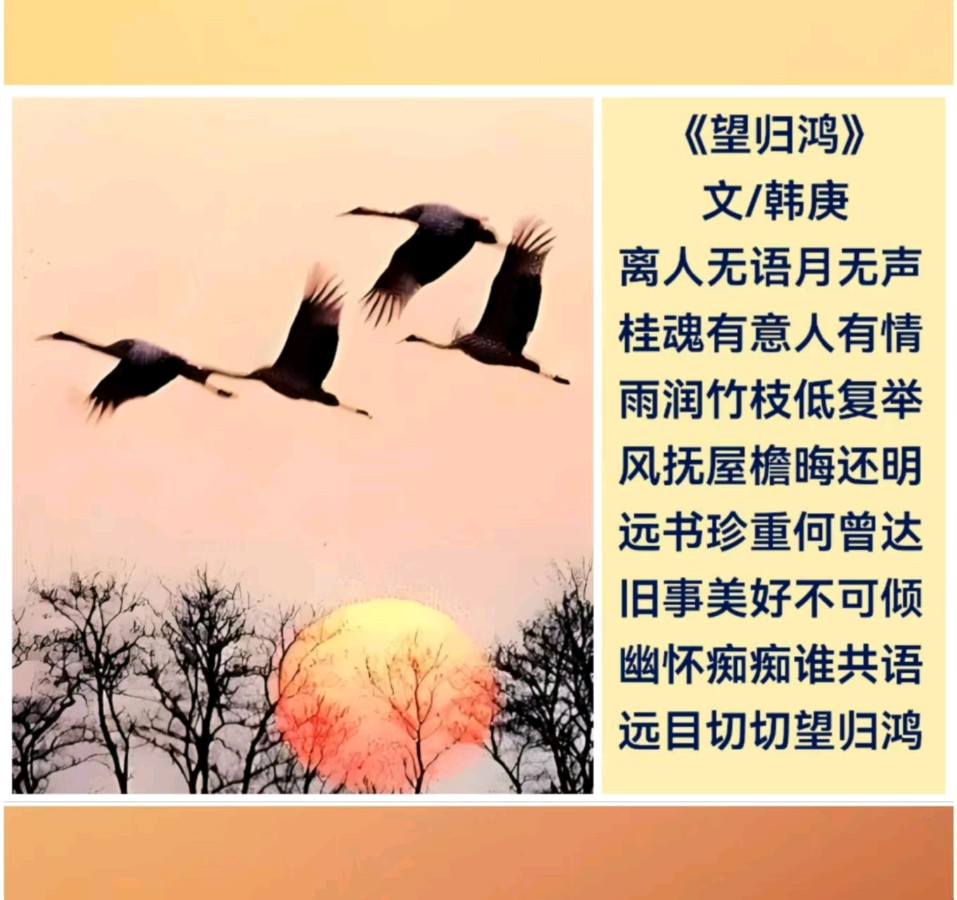 韩庚的《望归鸿》