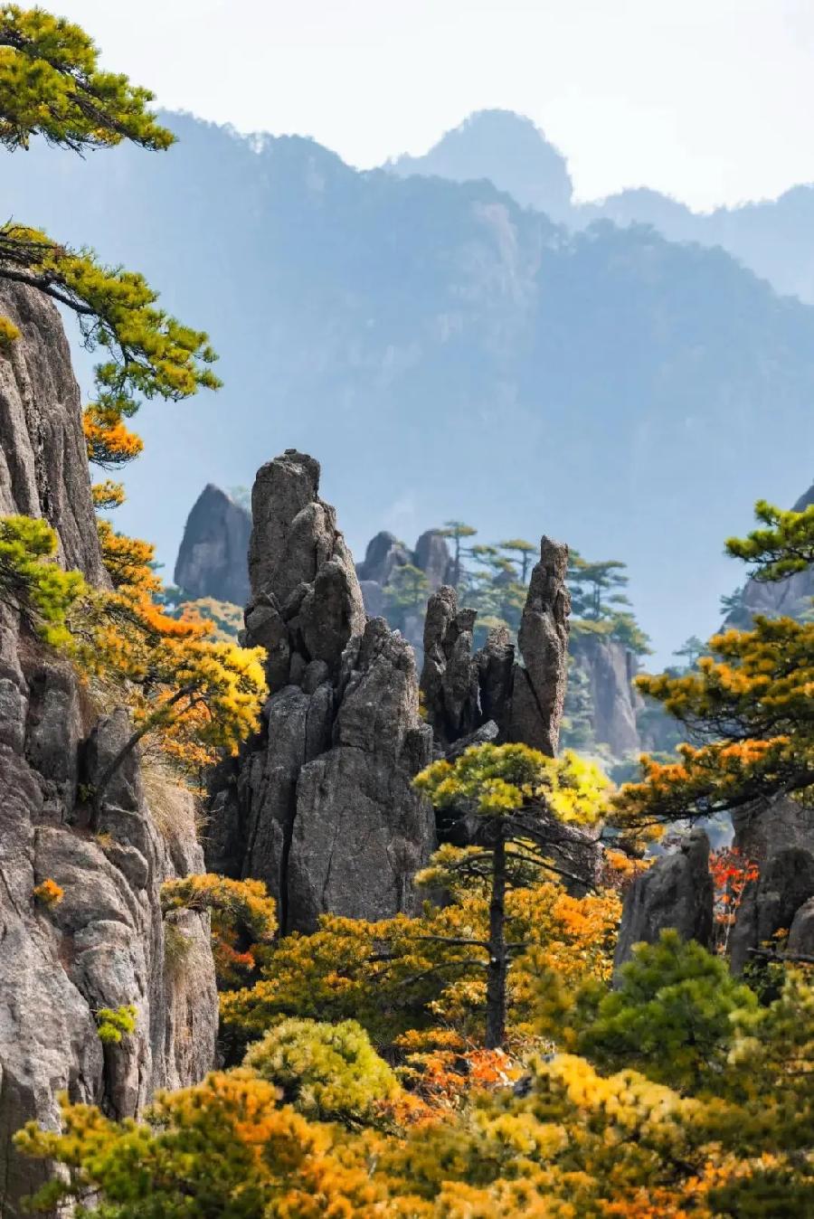 王世君：祖国万岁（外七首）海外头条（图8）