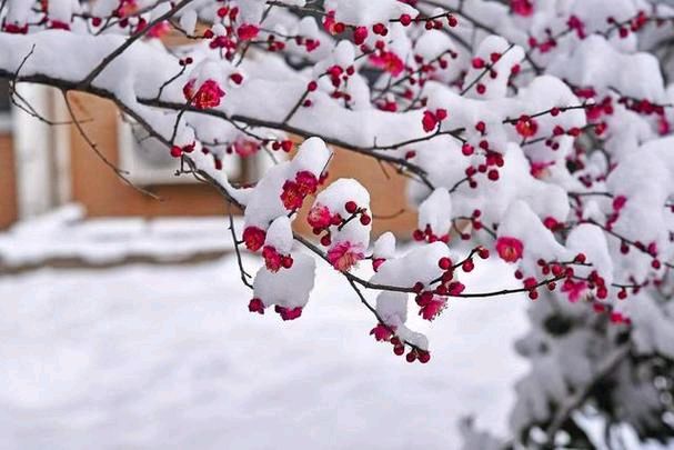 红色文化诗歌精选036期(图25)