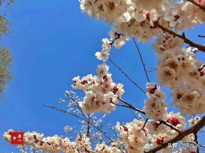 红色文化诗歌精选036期(图43)