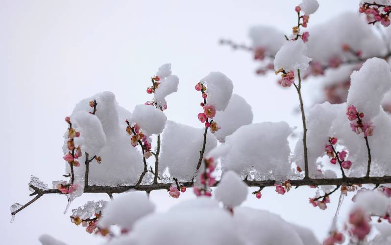 姚锋诗词专辑006期（图11）