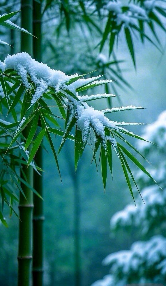 七律-赏雪感怀（外一首）诗||白小文（图15）