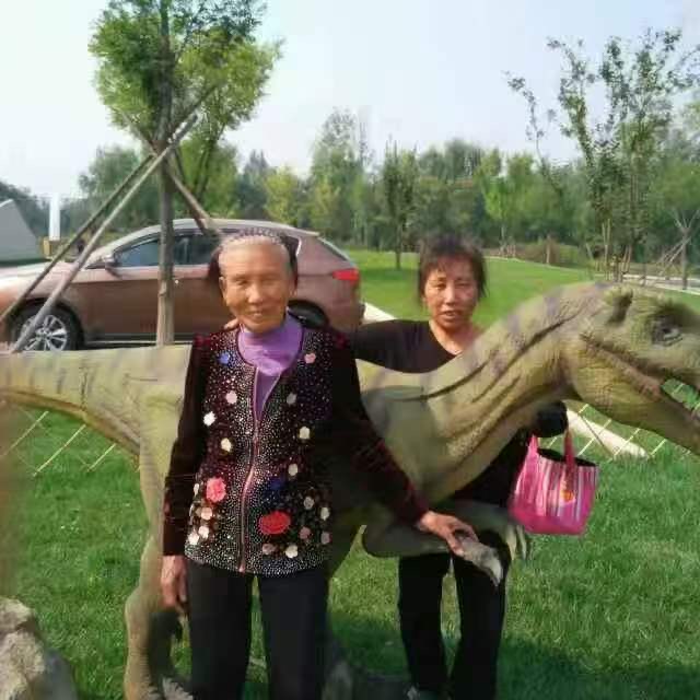百姓之家简介 : (我的两位母亲)文/玉兰/海外头条（图6）