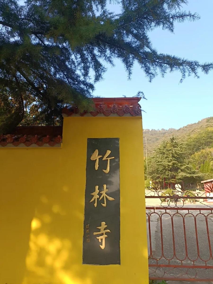 旷野道人：《观竹林寺欧氏碑林》海外头条（图5）