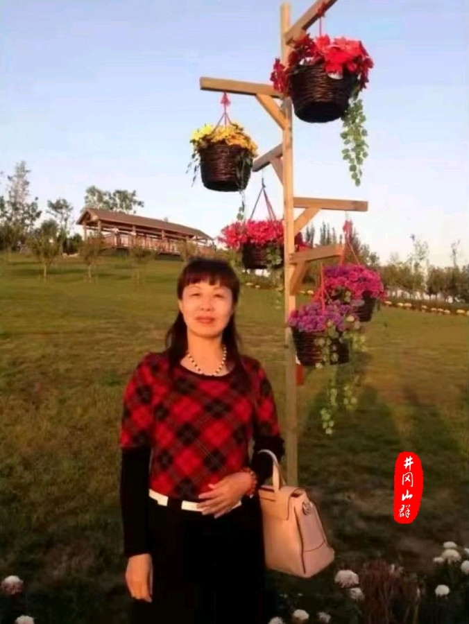 回不去的故乡～诗||寒冰（图14）