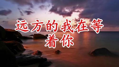 【重磅推出 新年放歌】鲁坡//大道至简篇[竹翠梅艳迎新年]（图7）