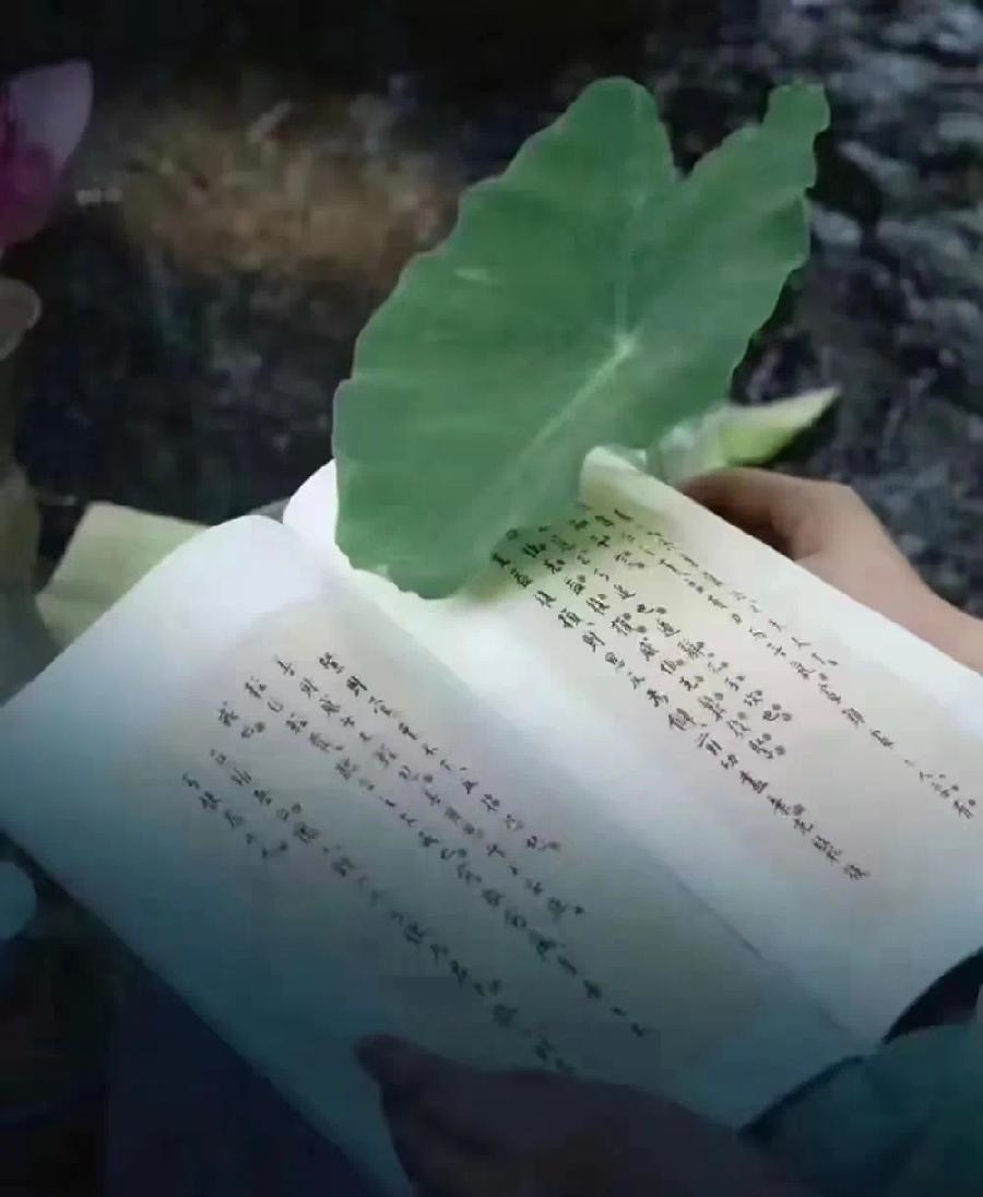 春上树：《遗世独立》海外头条（图5）