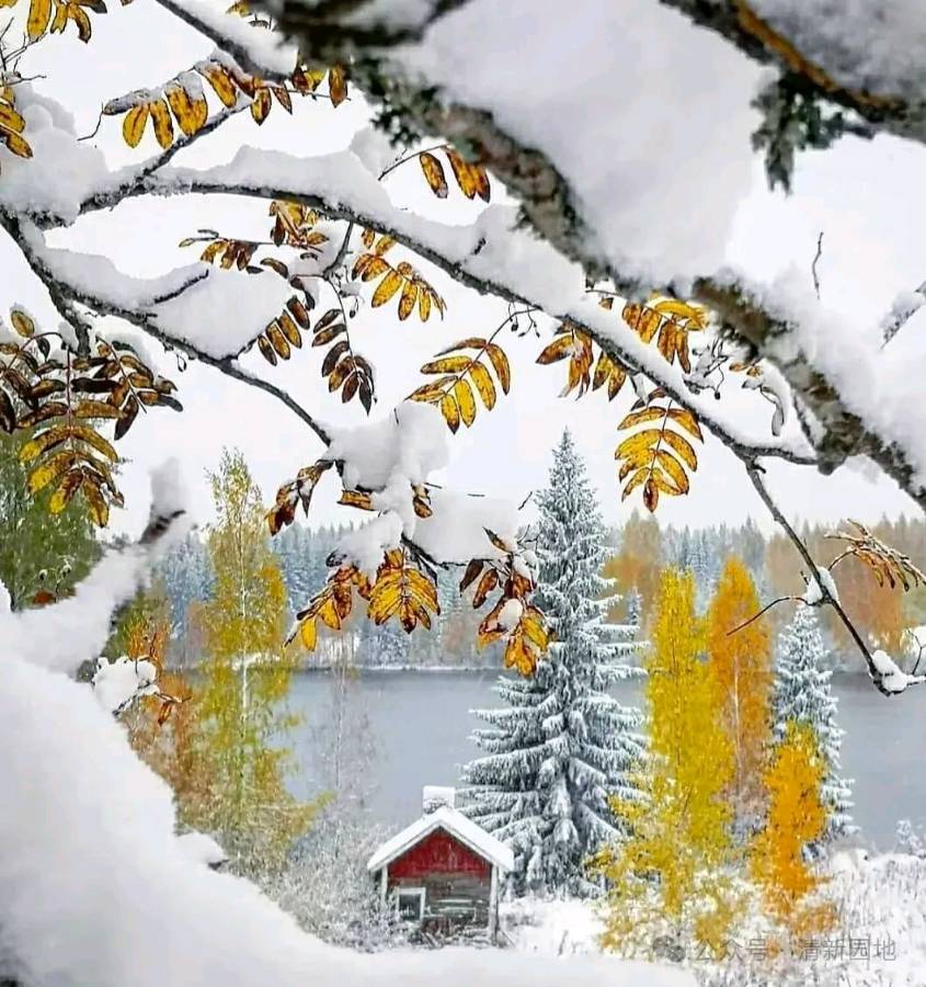 聆听 ‖ 惠月朗诵《冰河凝结岁月情 雪花飘舞入梦来》作者赛青松（图4）