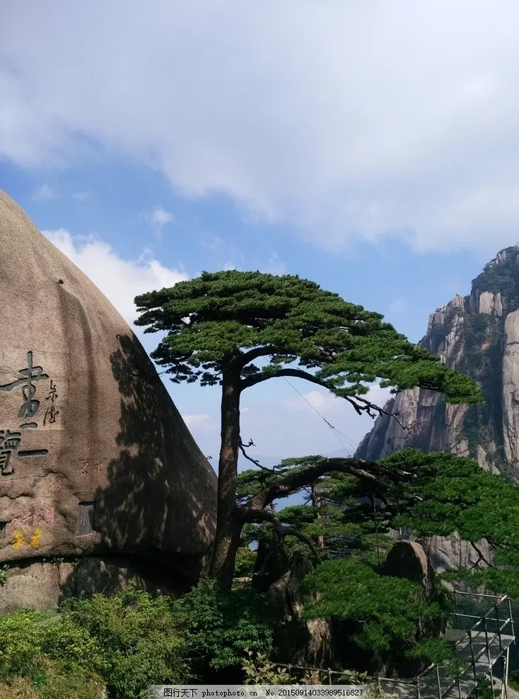 七律·题黄山松（文/韩满林）……莲叶之珠文学社（图4）