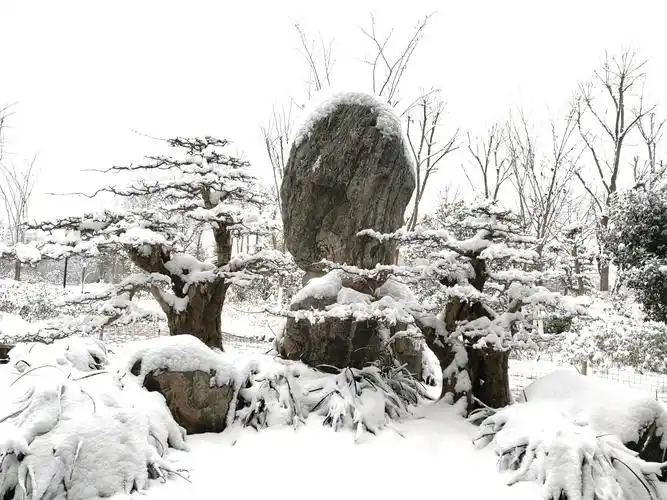 【神都诗社】第110期《岁杪感怀》(图6)