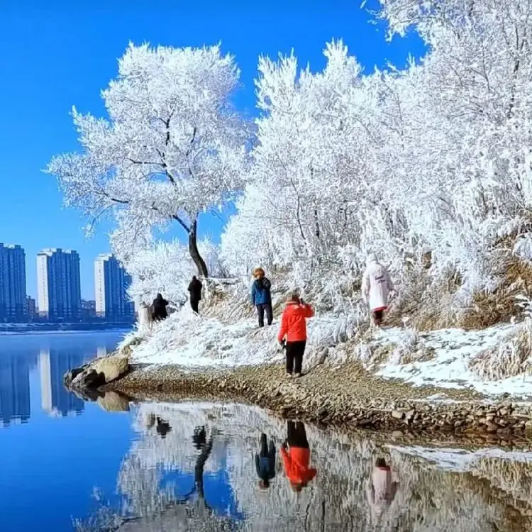 【神都诗社】第110期《岁杪感怀》(图12)