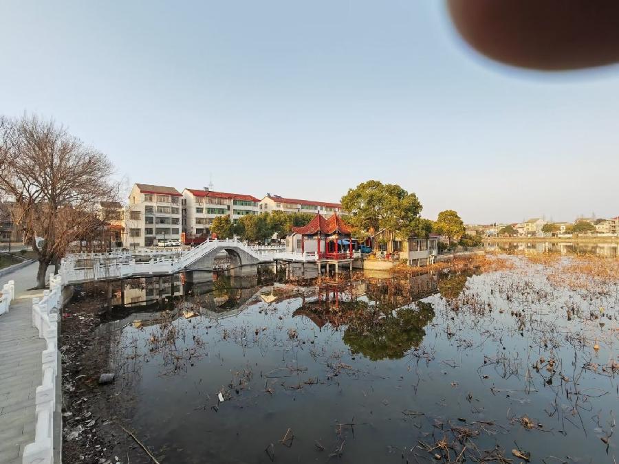 【神都诗社】第110期《岁杪感怀》(图24)