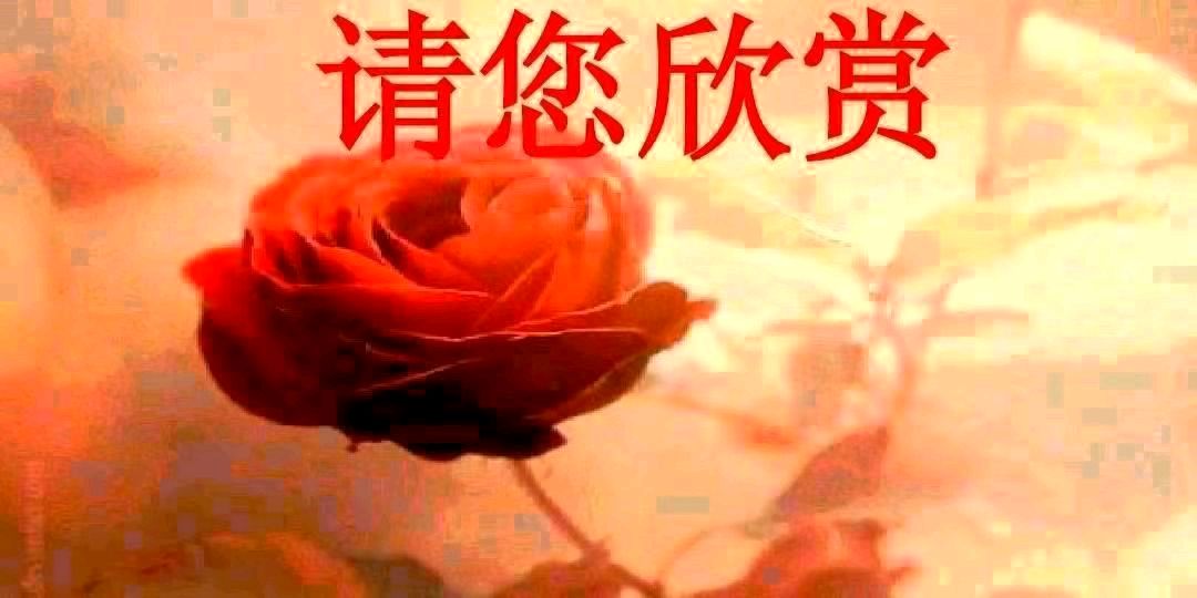 致一位友人（原创） 文/曹静实（陕西）