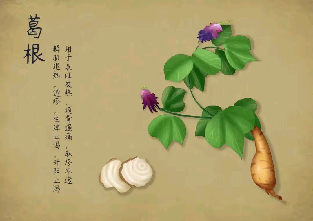 《给葛根拟语》作者:管泽富 [中国现代诗歌文化传媒]（图6）