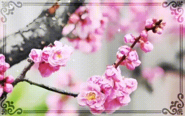 【梅园之音】听金玲朗诵《谢幕与启航》作者：大梅（图2）